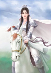 不宿之客